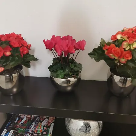 Aparthotel Silesia