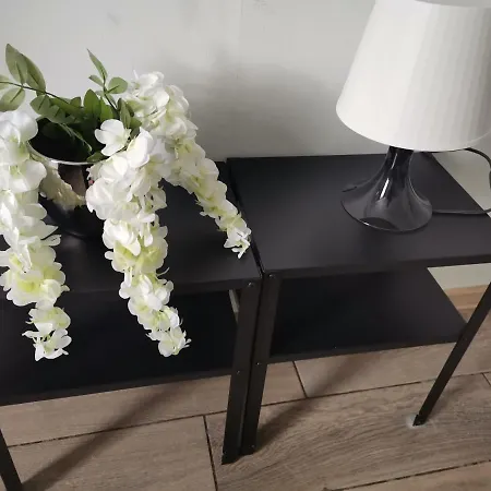 شقة فندقية Silesia