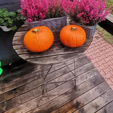 Silesia كاتوفيتسه